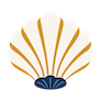 coquille saint jacques
