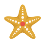 étoile de mer